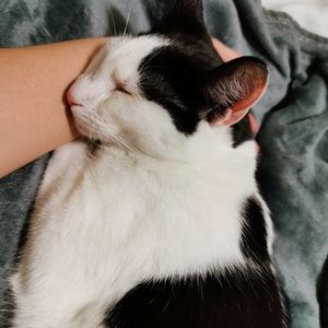 Meet your Posher, Cecilia